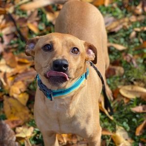 Meet your Posher, Meghan